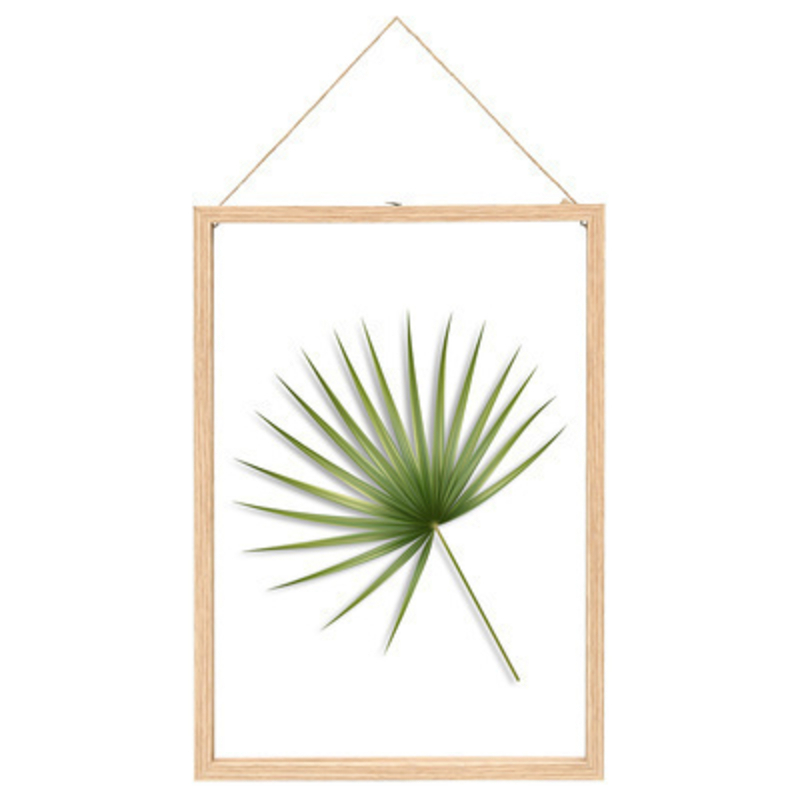 Extra large floating frame with beautiful palm leaf design made by Fallen Fruits.  This stylish easy to hang picture frame would look lovely with any decor and would add a touch of tropical vibe to any home.  A perfect gift for an avid gardenerSize - Extra Large: 30 x 1.9 x 42cm